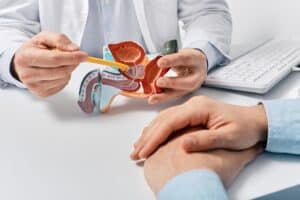 A urologist showing a patient a model of the prostate to explain HoLEP